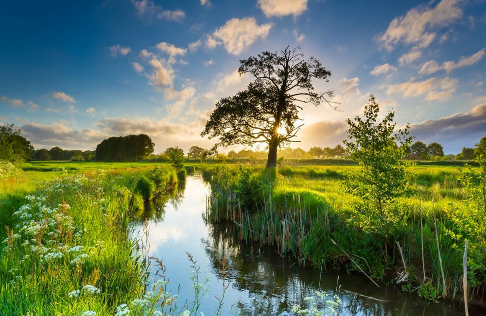 Zomerspecial: Westerwolde